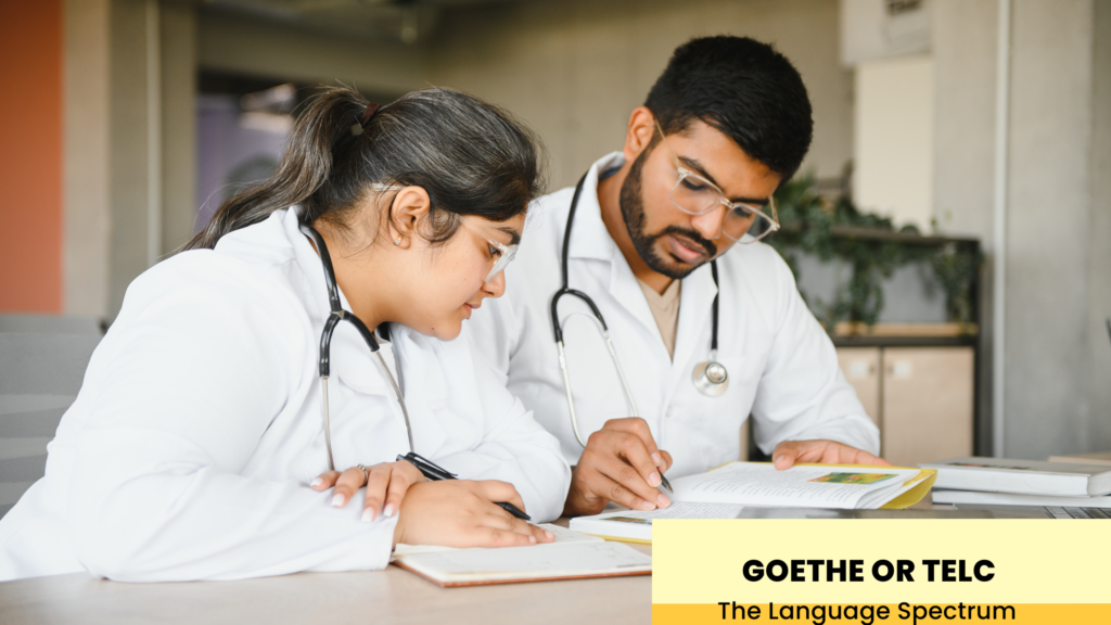 GOETHE or Telc: Which exam should you choose?